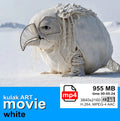 "WHITE" movie kulakART
